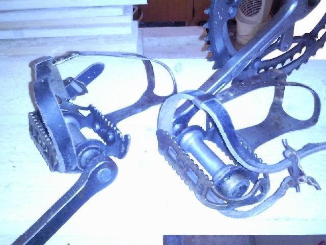 Foto0246.jpg ht=480