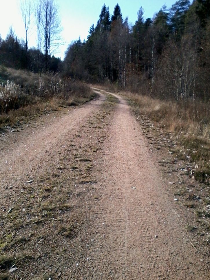 Foto0246.jpg
