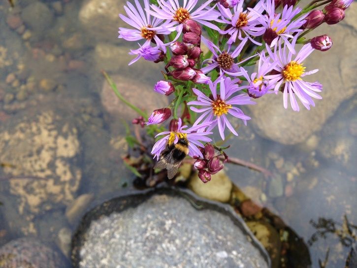 foto1.JPG