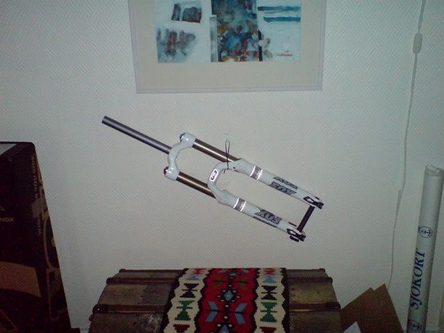 FoxFloat36small.JPG ht=480