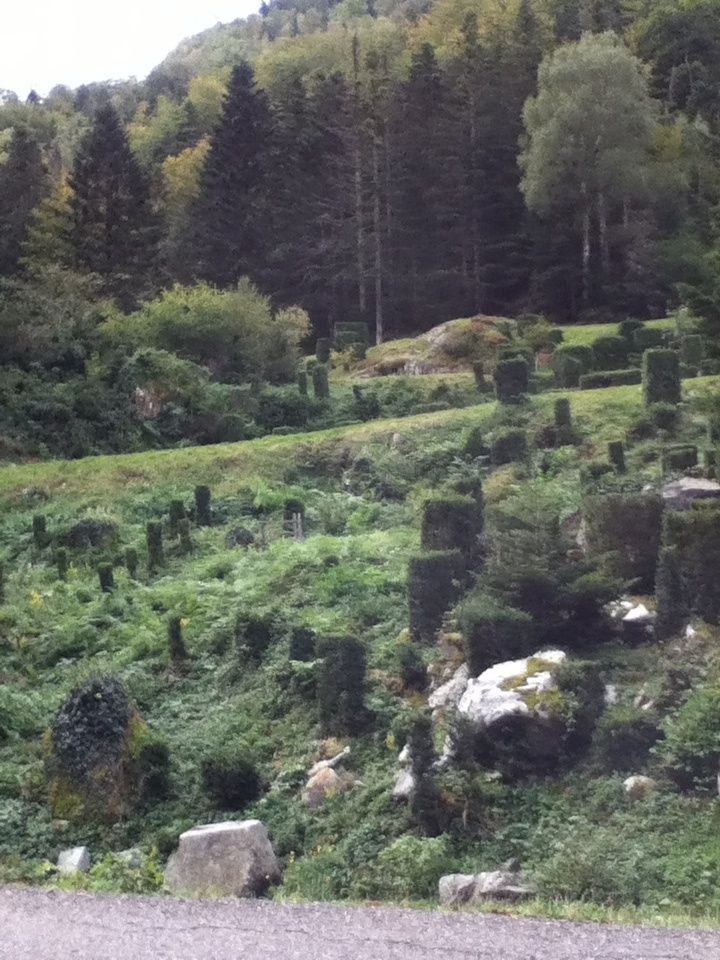 Fra015.jpg