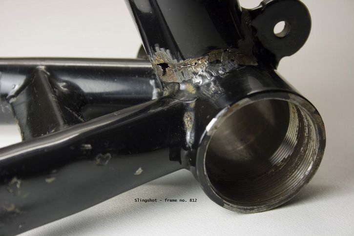 freddies3.jpg ht=484