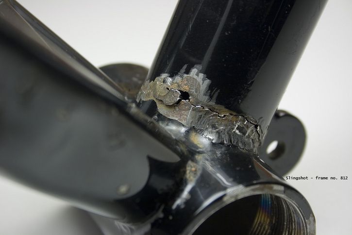 freddies4.jpg ht=484