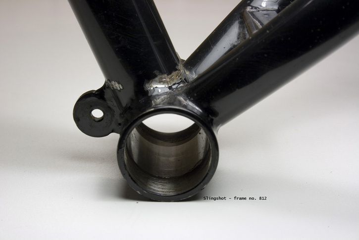 freddies6.jpg ht=484