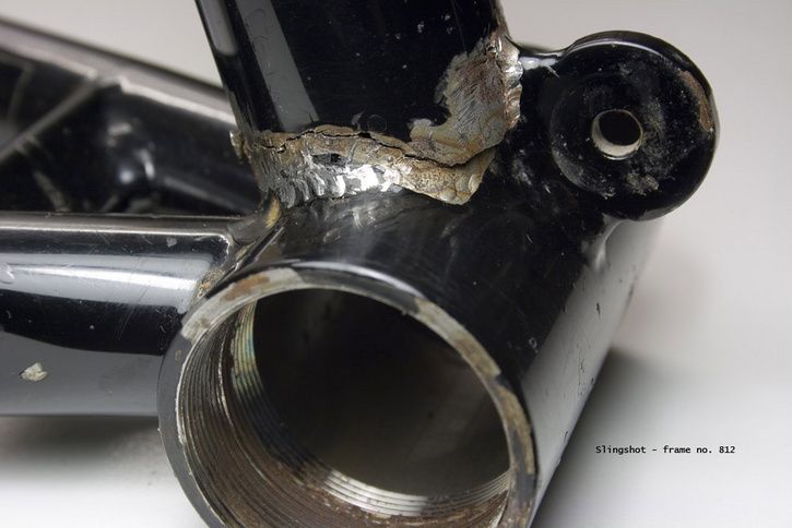 freddies9.jpg ht=484