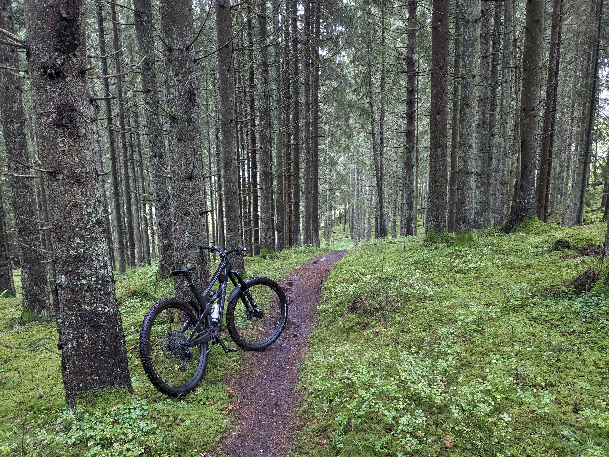 Friskvårdspass.jpg