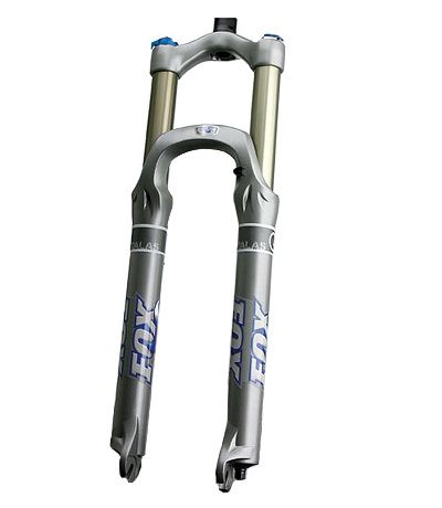 FSFX_talusrlc.jpg ht=460