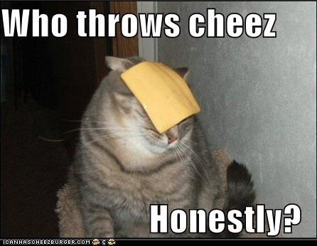 funny-pictures-cat-asks-who-throws-cheese.jpg ht=346