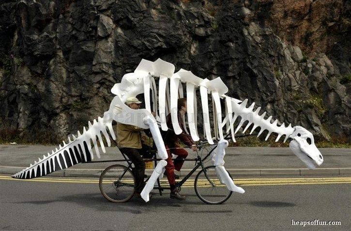 funny_bicycle_art_of_carrying_loads_m1003.jpg