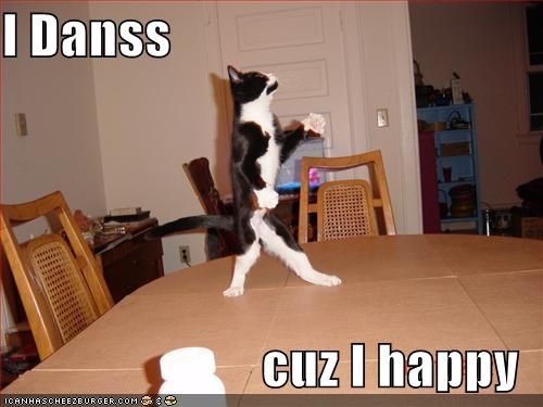 funny_pictures_dancing_cat.jpg ht=375