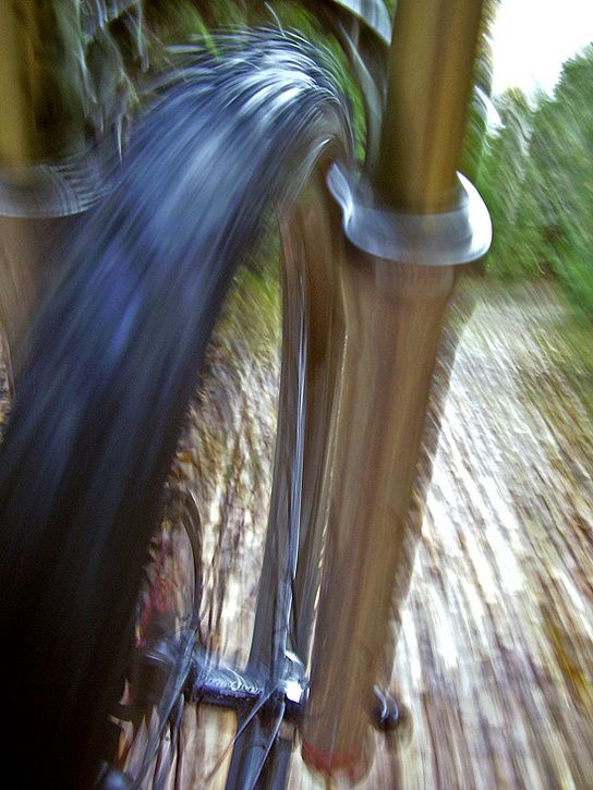 fvh04.jpg ht=725