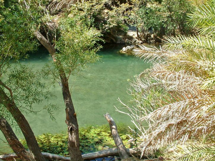 FXCD0179modsm.jpg ht=544