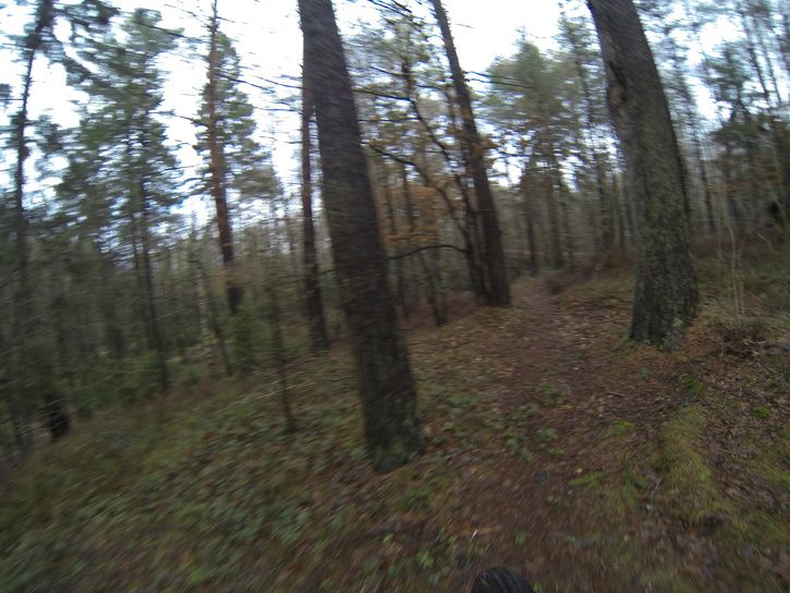 G0010007.JPG
