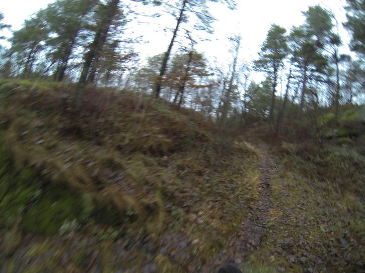 G0010012.JPG