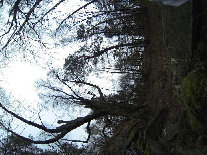 G0010015.JPG