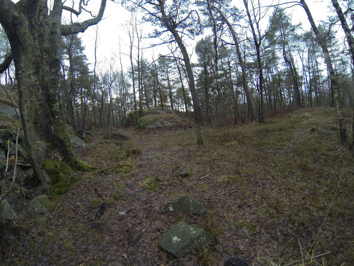 G0010016.JPG