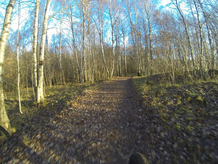 G0010031.JPG