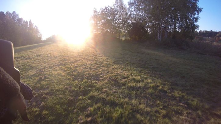 G0010789.JPG