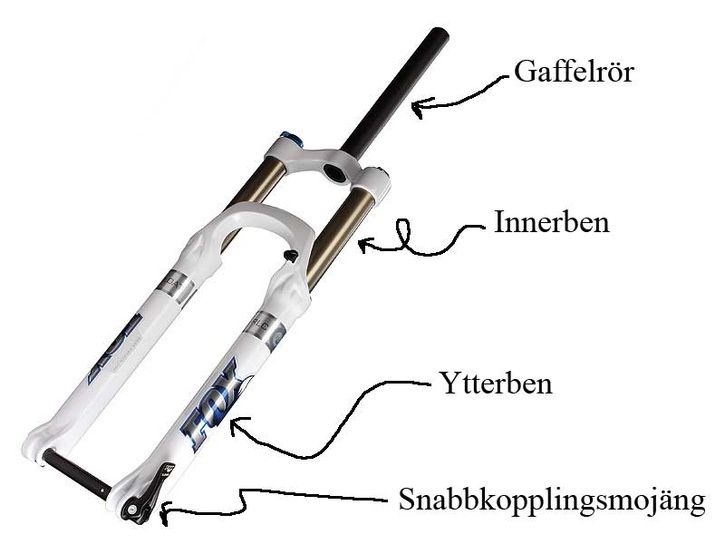 Gaffelvuk.jpg ht=544