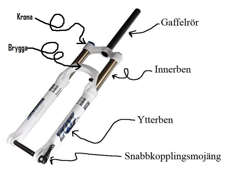 Gaffelvuk.jpg ht=544