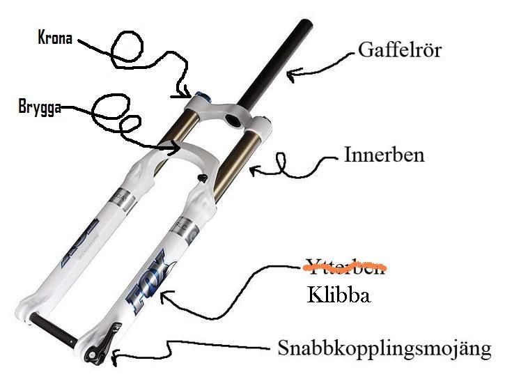 Gaffelvuk.jpg ht=544