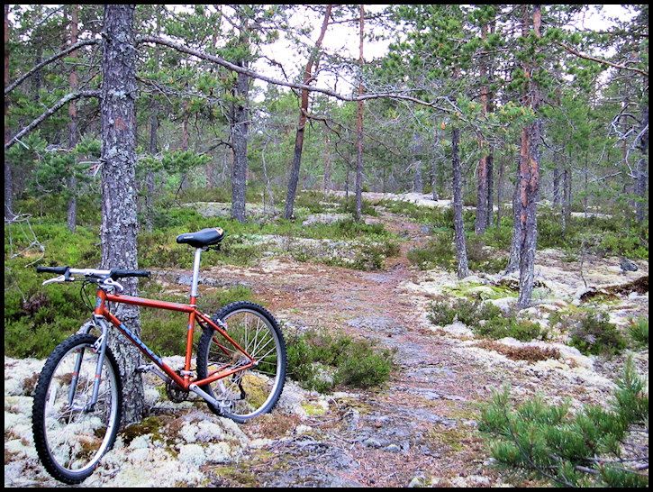 galgberget.JPG