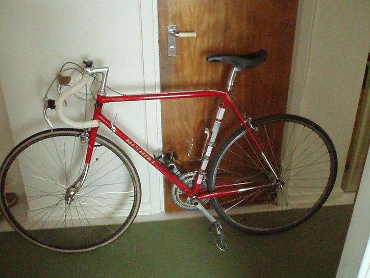 gammalnishiki.JPG ht=544