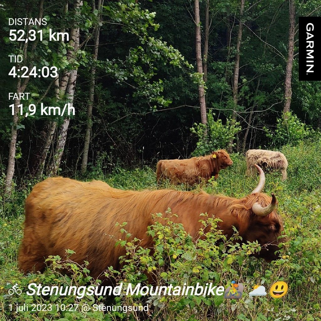 GarminConnect_20230701-155630.jpg