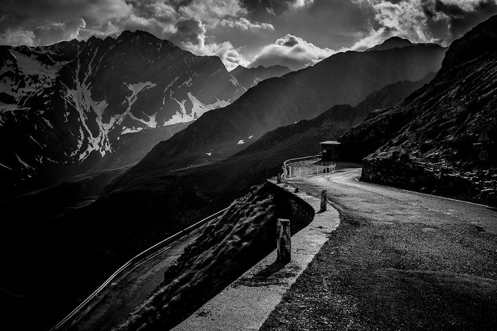Gavia-3074_LoRES.jpg