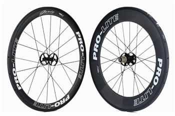 gavia.jpg ht=232