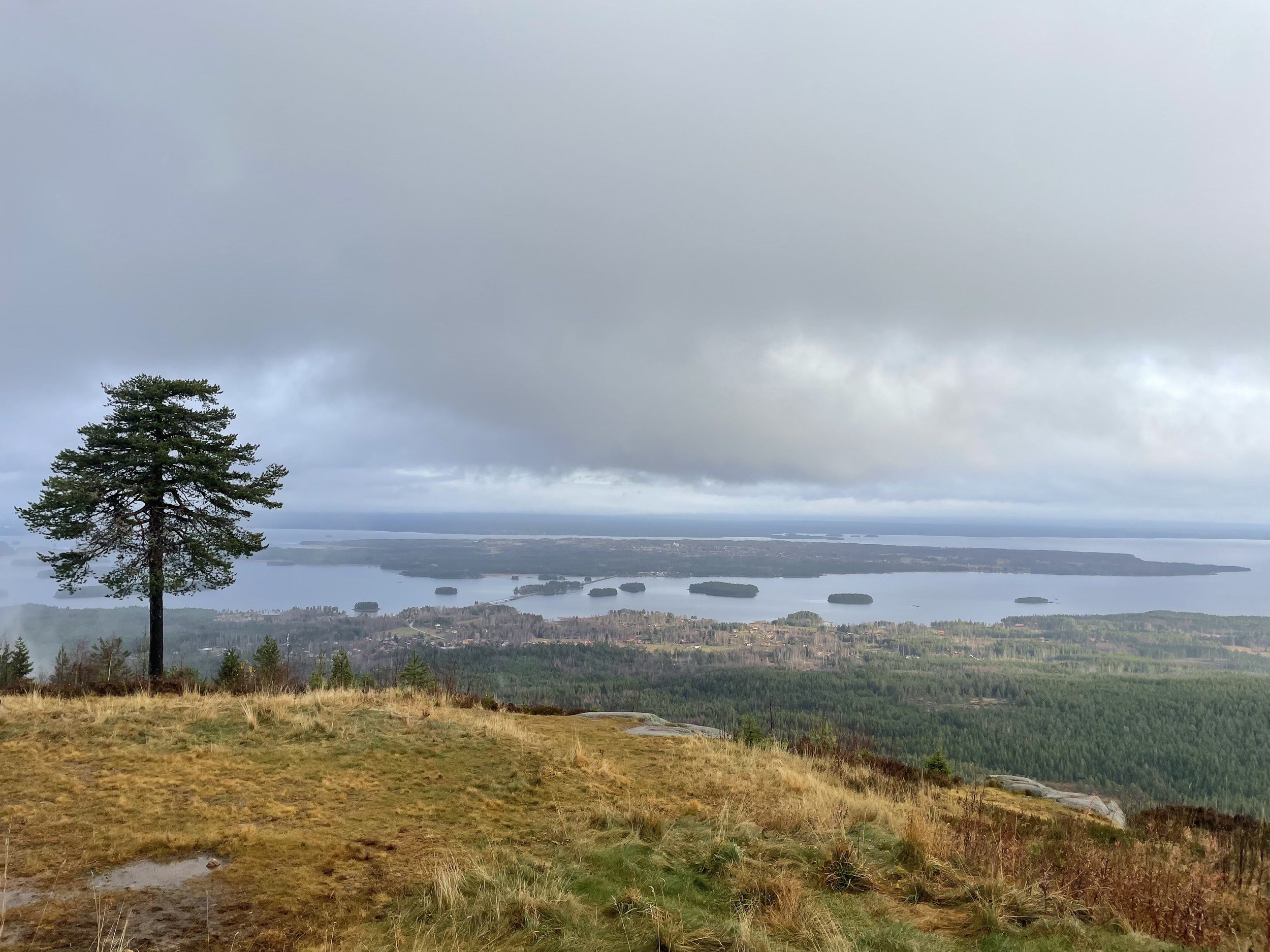 Gesundaberget 4nov2022.jpg