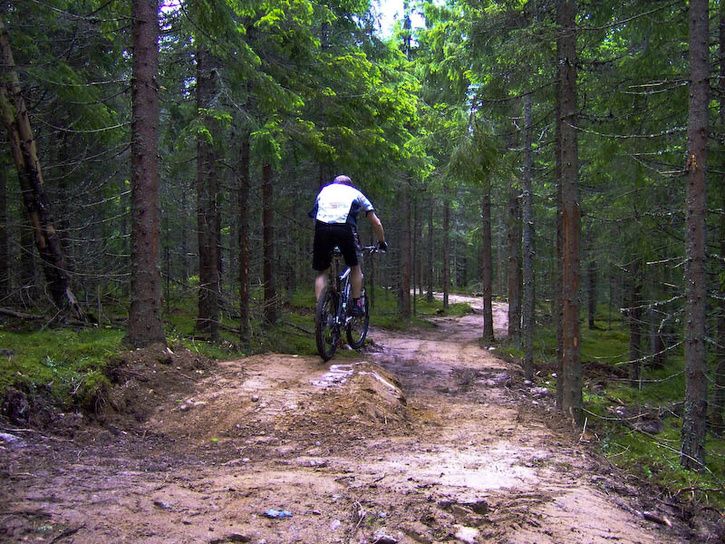 gesundamidsommar031.jpg ht=544