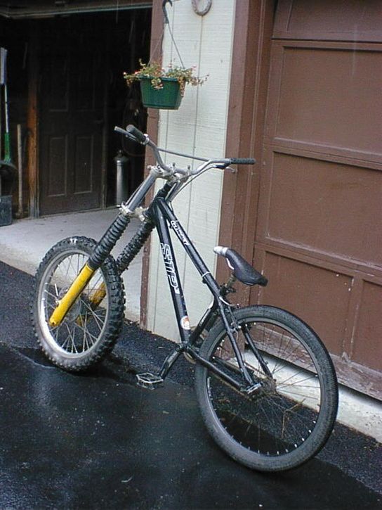 ghcjgfrdsf.jpg ht=725