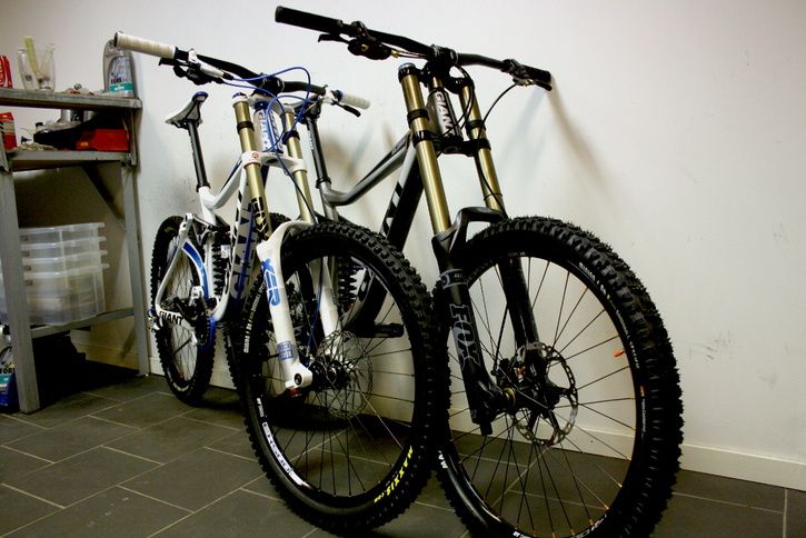 giantGlory2011.jpg ht=484