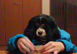 gifs_10.gif