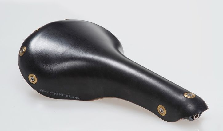 gilberaspinblack_1.jpg