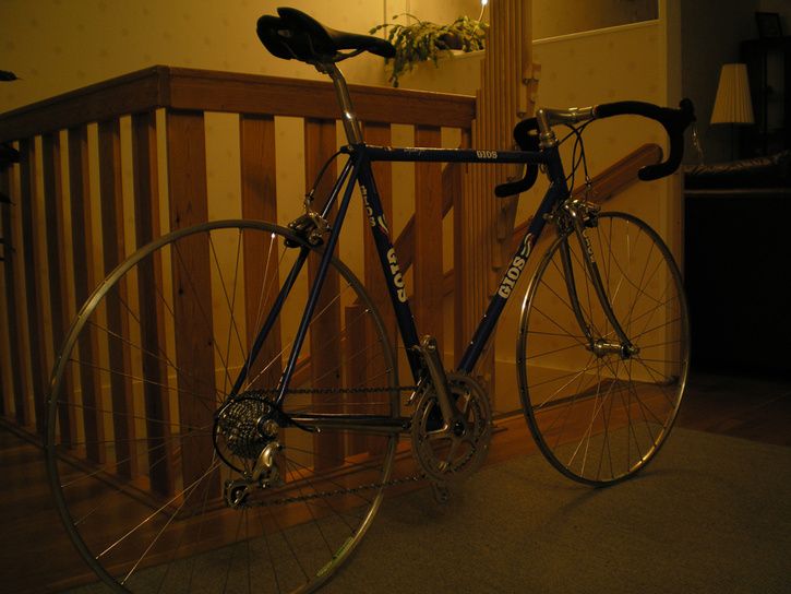 GIOS19.jpg ht=544