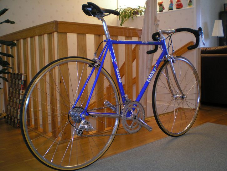 GIOS22.jpg ht=544