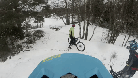 giphy1.gif