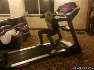 giphy.gif