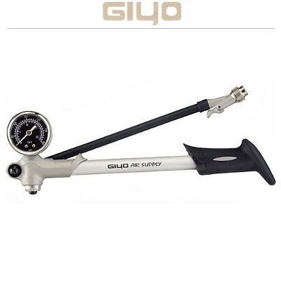 GiyoGS-02d.JPG