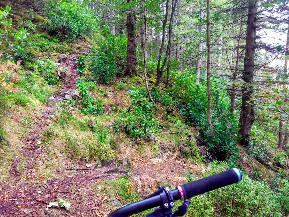 Glencoe1.png