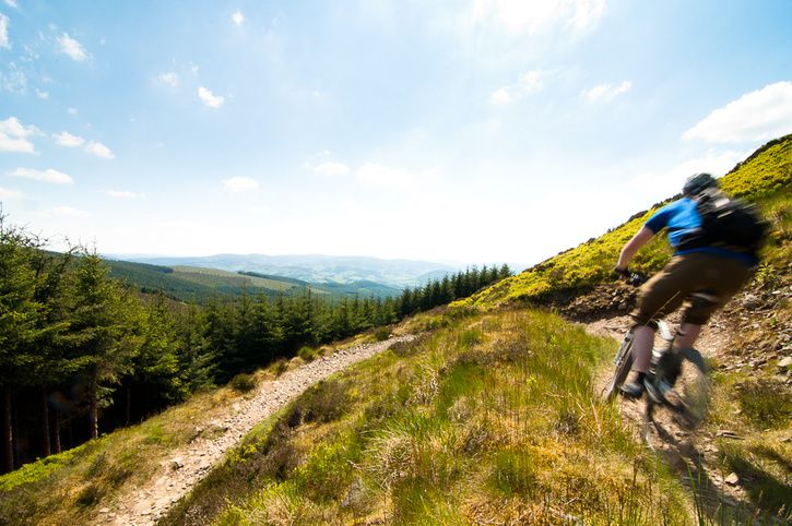 Glentress1av1.jpg