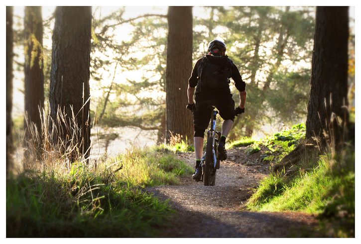 glentress_dag2_1_low.jpg ht=491
