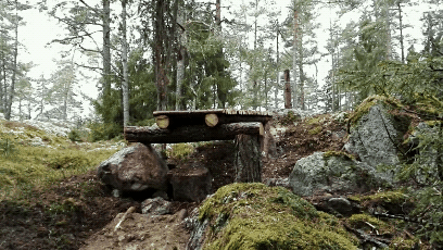 GM_20160427_230010.gif