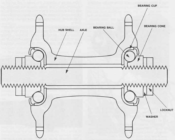 gncbm_65b.jpg