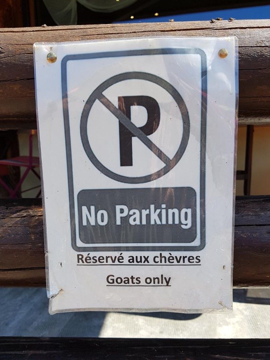 goatparking.jpeg