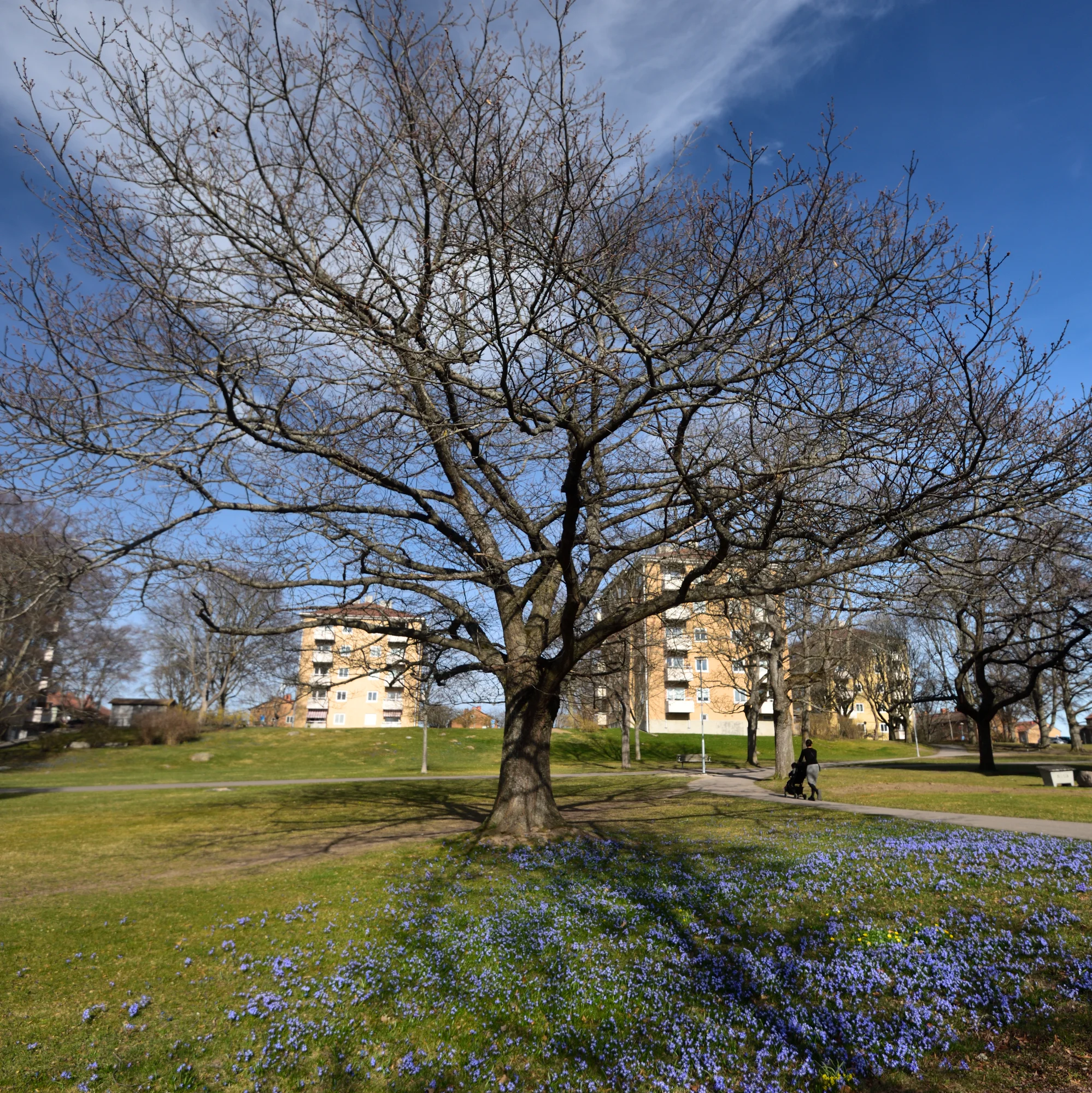 Goesta_Kungsberget_20250402_184_copyr_OlofA.webp