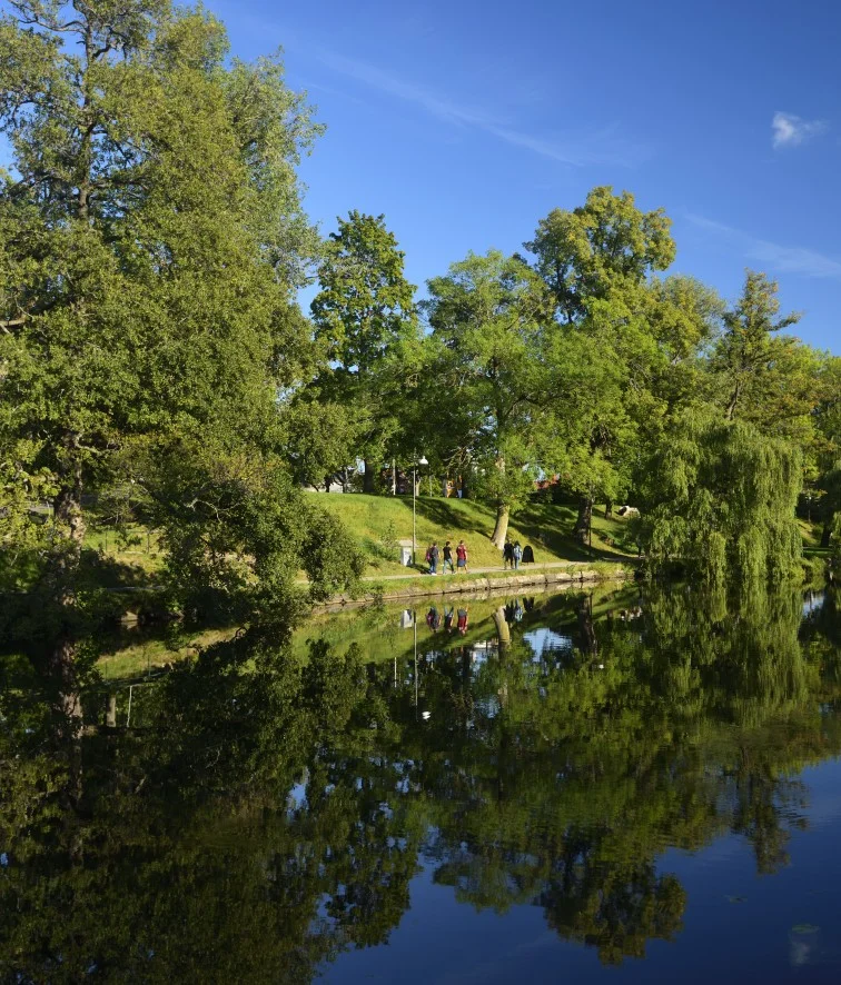 Goesta_Lkpg_stångån_224copyr_OlofA (1).webp