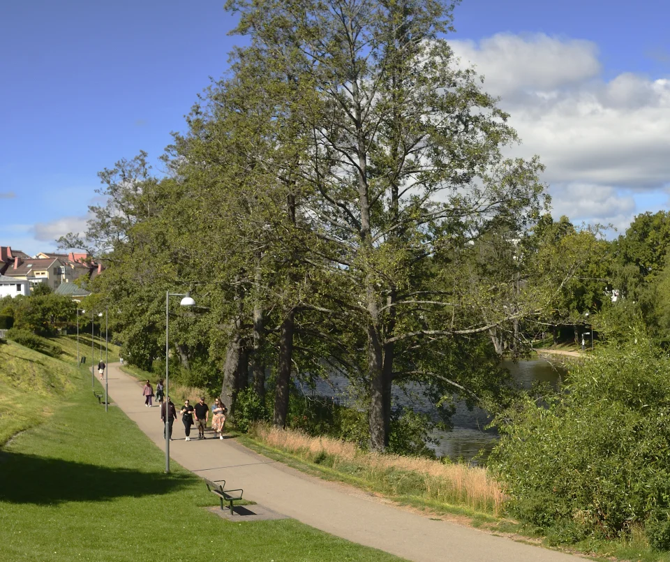 Goesta_Lkpg_Vsjö_209copyr_OlofA.webp